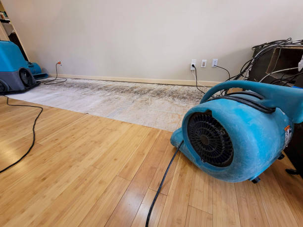 Professional Burst Pipe Water Damage technician working in Jefferson, ME
